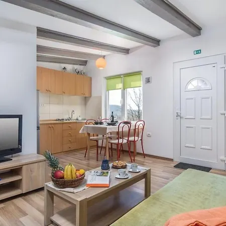 House Ivor Holiday home Buzet