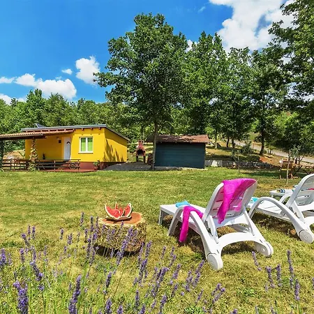 House Ivor Holiday home *